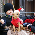 Benefizturnier der Hundefreunde Bregenz