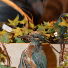 normal_02122012adventmarktat5009aktivnews_11.jpg