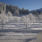 PC030003.JPG