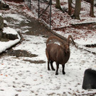 KOE_Wldpark 201212 1_jpg-1354559956