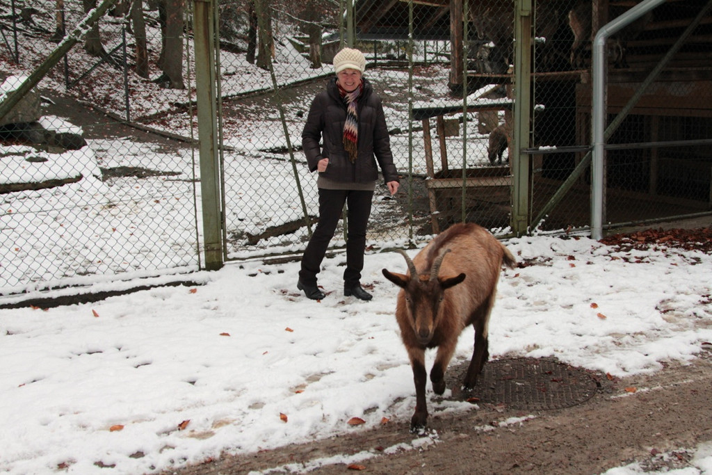 KOE_Wldpark 201212 5_jpg-1354559985