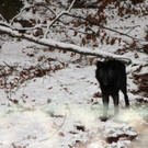 KOE_Wldpark 201212 24_jpg-1354560109