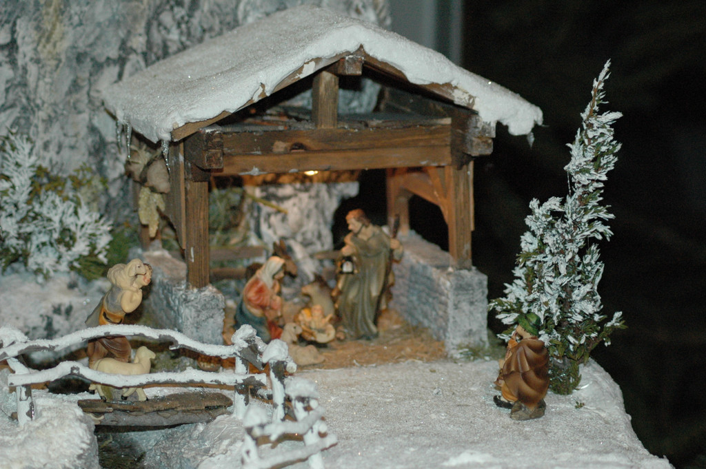 DSC_7565_JPG-1354573379