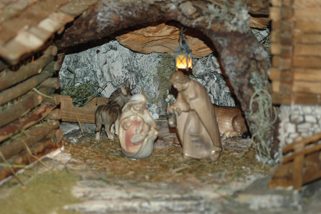 DSC_7575_JPG-1354573395
