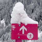 _c_ Gerhard Scopoli - Schnee Partenen - 057.jpg