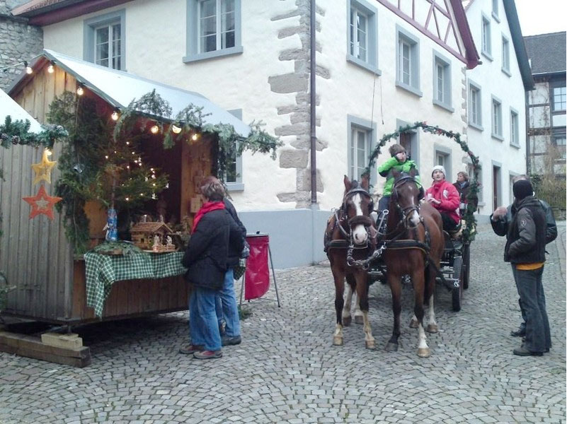 kutschenfahrt_jpg-1354608662