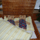 DSC_3925_jpg-1354608615