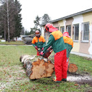 normal_04122012fmt_PKPiKpS_fm_06.JPG