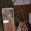 DSC_7937.jpg
