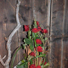 DSC_7945.jpg