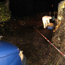 dst-226529.JPG