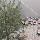 DSCN8575_JPG-1354661581