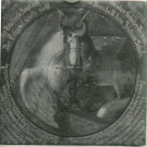 scheibe 2_jpg-1354662322