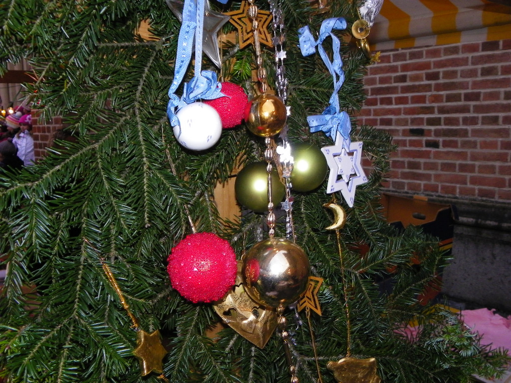 113_2775_JPG-1354664360