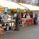 DSCN0227_JPG-1354665485