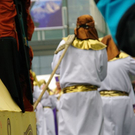 IMGP8666.JPG