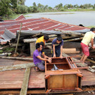 IBD0342-20121204.jpg