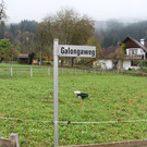 Galongaweg, Gewerbestraße und Gulmweg