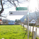 Baumgarten1_JPG-1354702020