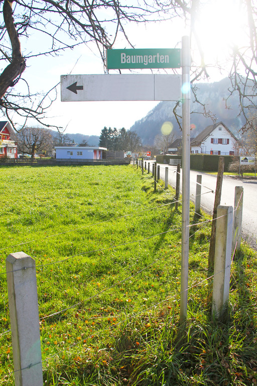 Baumgarten1_JPG-1354702020