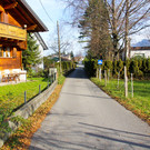 Baumgarten2_JPG-1354702022