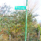 Birkenweg1_JPG-1354702024
