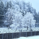 Schneeidylle