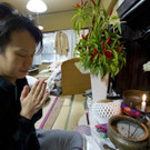 IBD0214-20121205.jpg