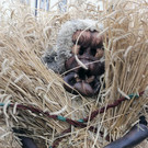 05122012bgdde01001aktivnews_48.JPG