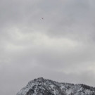 normal_05122012fmt_nikolaus_fallschirm_ui_00.JPG