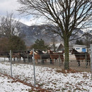 normal_05122012fmt_nikolaus_fallschirm_ui_01.JPG