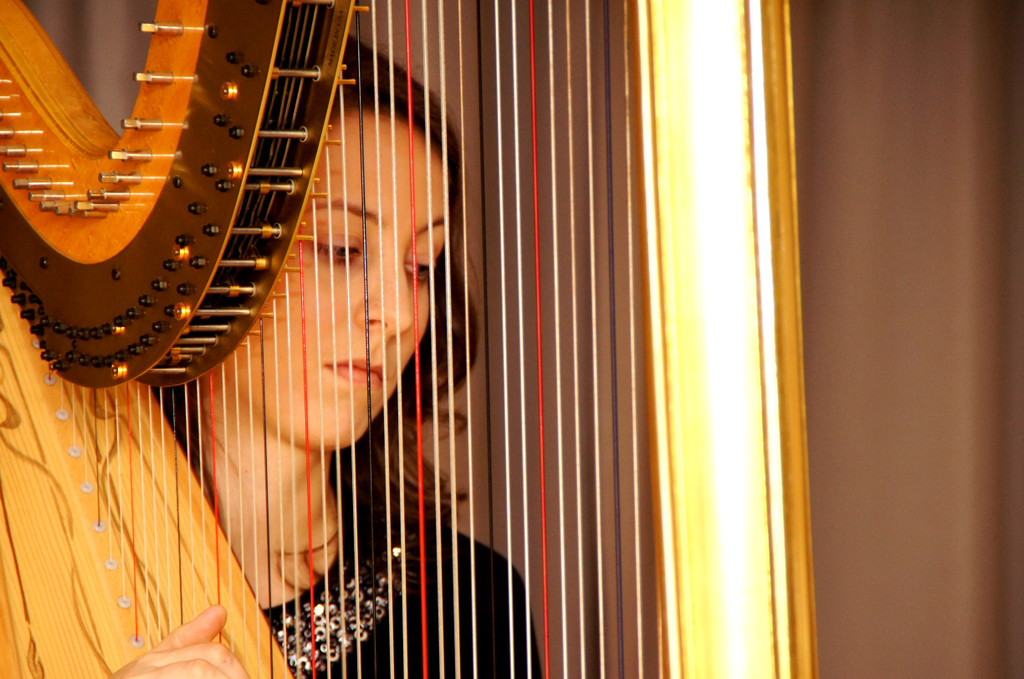 DSC00374_JPG-1354745593