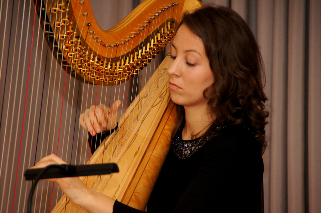 DSC00376_JPG-1354745610