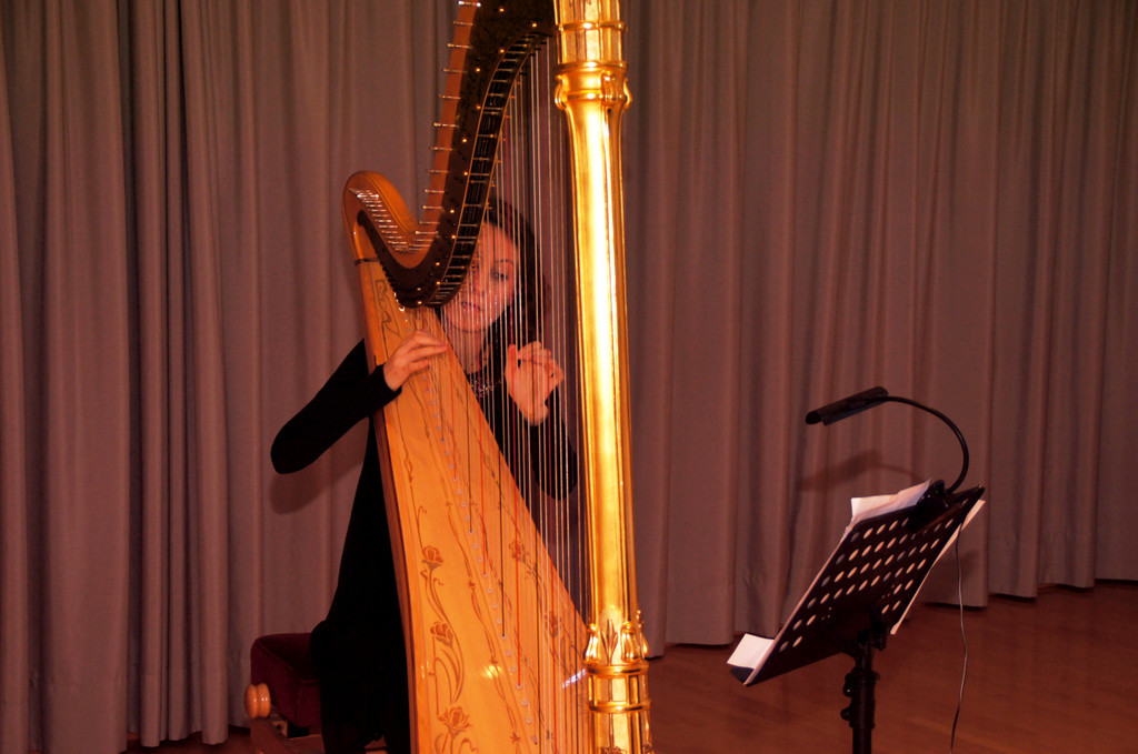 DSC00365_JPG-1354746907