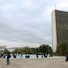 DAB0227-20121206.jpg