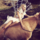 MDSS-Island-Pferdeshooting-Amy-Sat1-Oliver-Gast_gallery_350.jpg