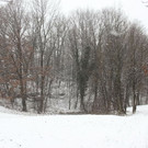 normal_06122012fmt_winter_ta_002.JPG