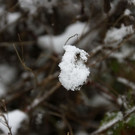 normal_06122012fmt_winter_ta_005.JPG
