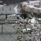 normal_06122012fmt_winter_ta_014.JPG