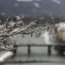 normal_06122012fmt_winter_ta_015.JPG