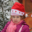 IMG_0786_JPG-1354805932