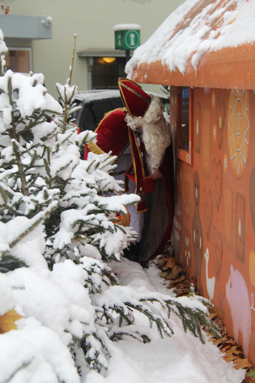 IMG_0789_JPG-1354805936