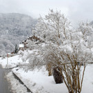 _c_ Gerhard Scopoli - Schnee Tschagguns - 044.jpg