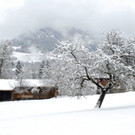 _c_ Gerhard Scopoli - Schnee Tschagguns - 056.jpg