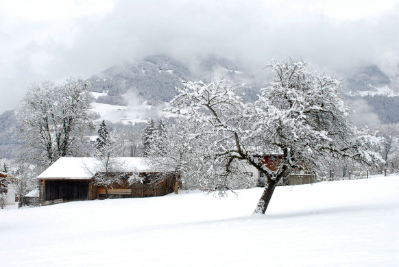 _c_ Gerhard Scopoli - Schnee Tschagguns - 056.jpg