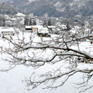 _c_ Gerhard Scopoli - Schnee Tschagguns - 101.jpg