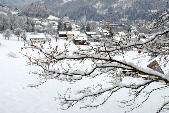 _c_ Gerhard Scopoli - Schnee Tschagguns - 101.jpg