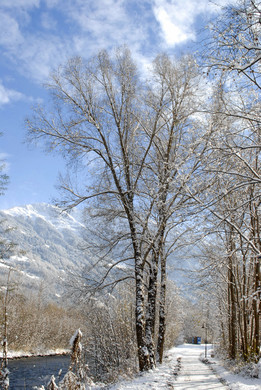 _c_ Gerhard Scopoli - Schnee Tschagguns - 003.jpg