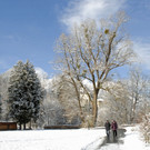 _c_ Gerhard Scopoli - Schnee Tschagguns - 005.jpg