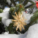 _c_ Gerhard Scopoli - Schnee Tschagguns - 078.jpg